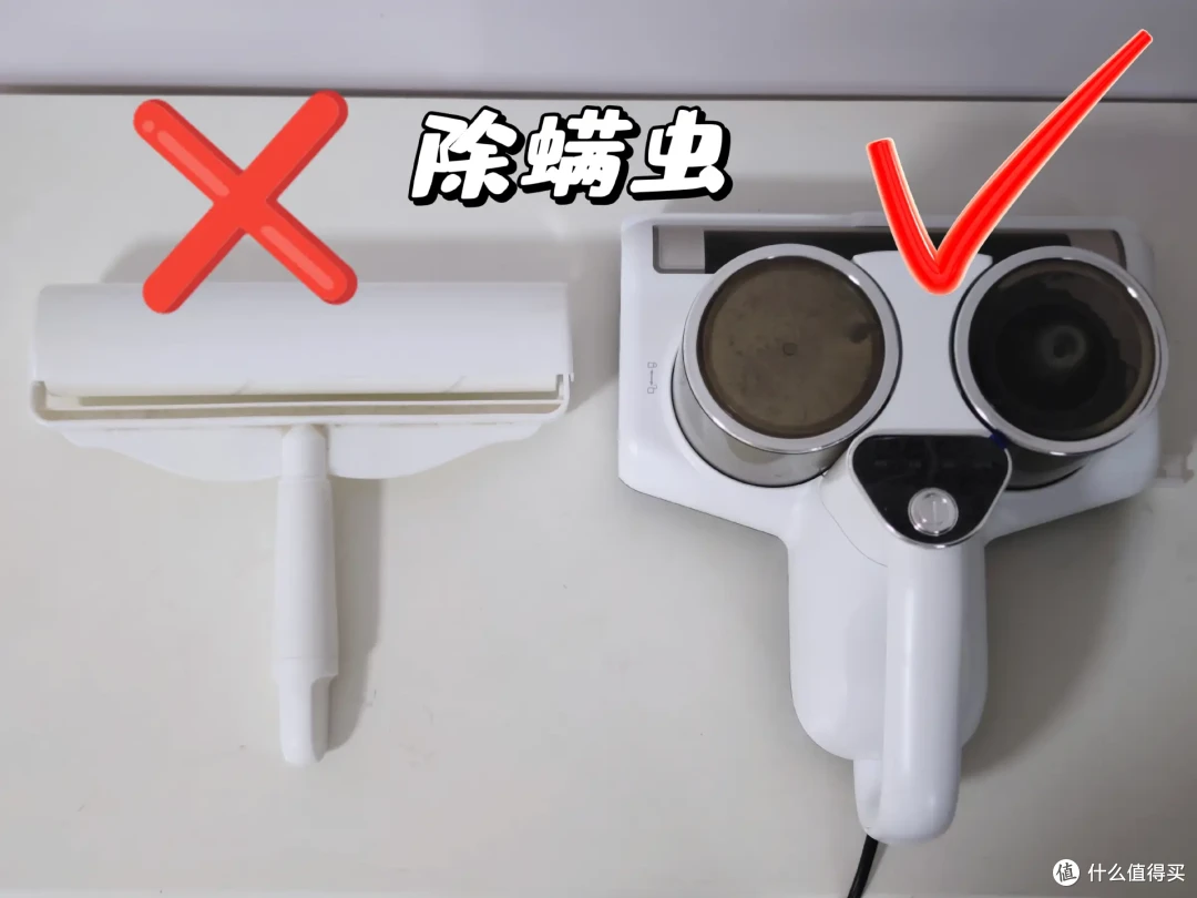 以为是精致雅居,谁能想7500元/月的租房还要与“书虱”同眠?!
