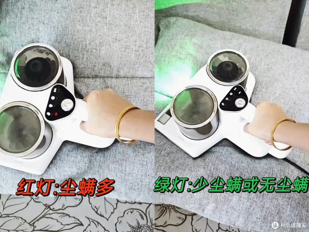 以为是精致雅居,谁能想7500元/月的租房还要与“书虱”同眠?!