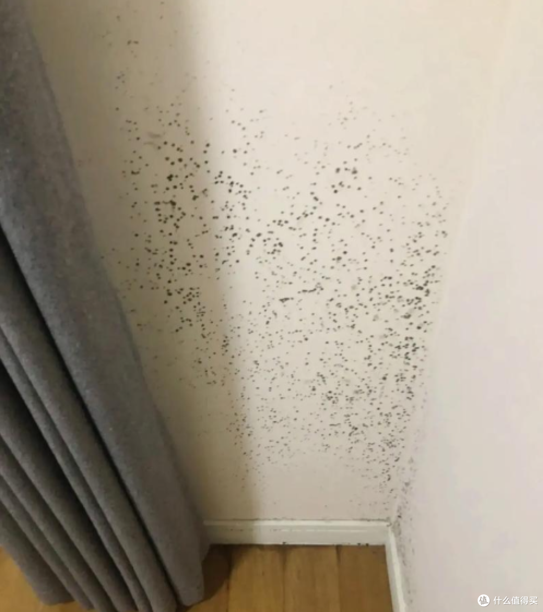 雅彩洁除霉黑科技:破解南方潮湿环境霉菌滋生的居家神器!
