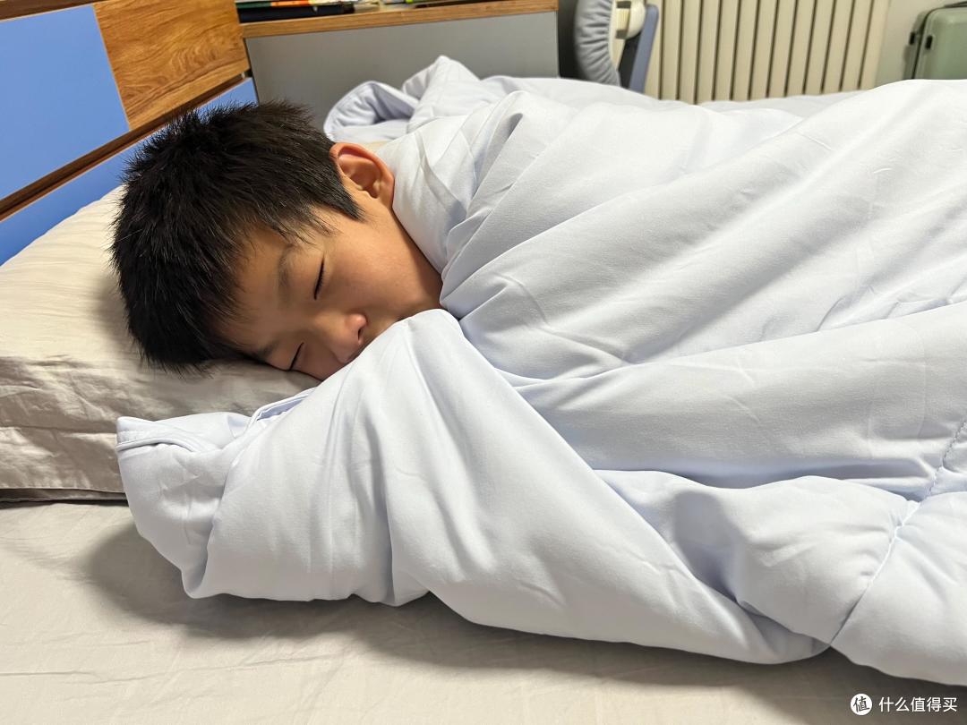 蓬松柔软的8H轻蓬蓬可水洗免弹棉花被，太暖了