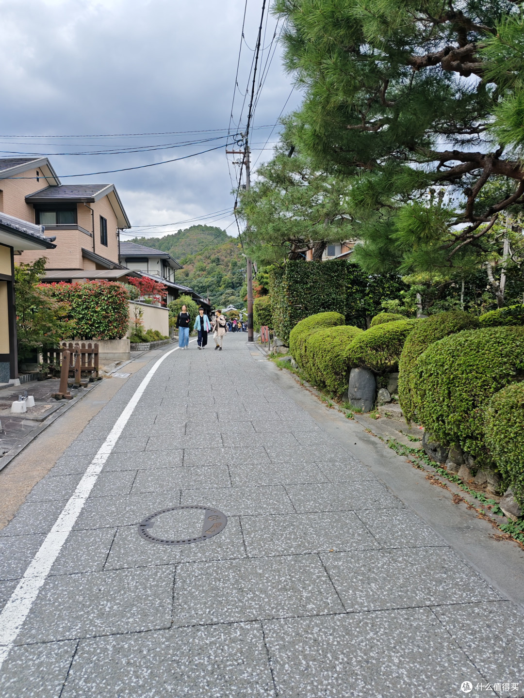 关西溜娃之旅随手拍游记