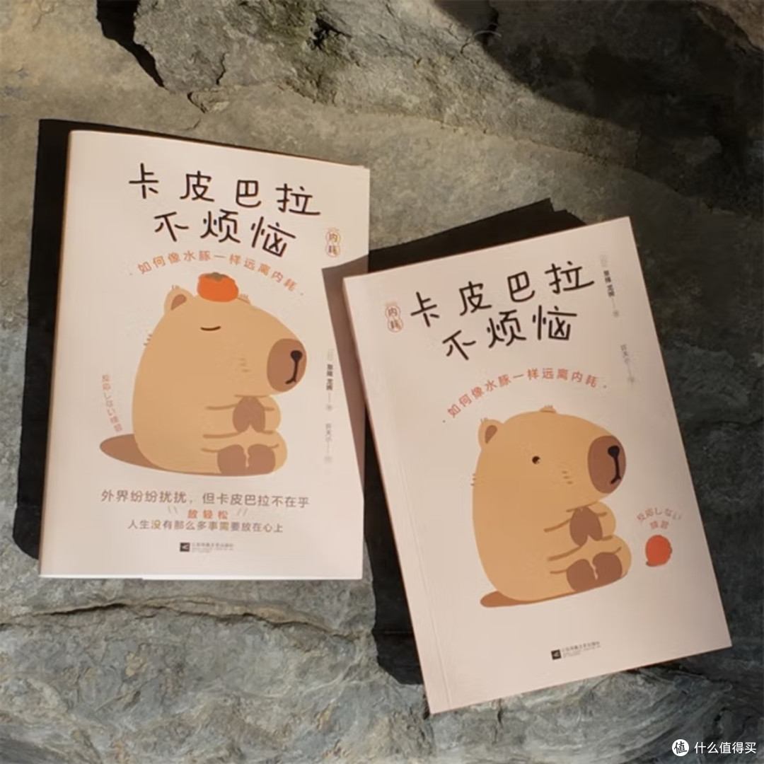 卡皮巴拉的生活哲学