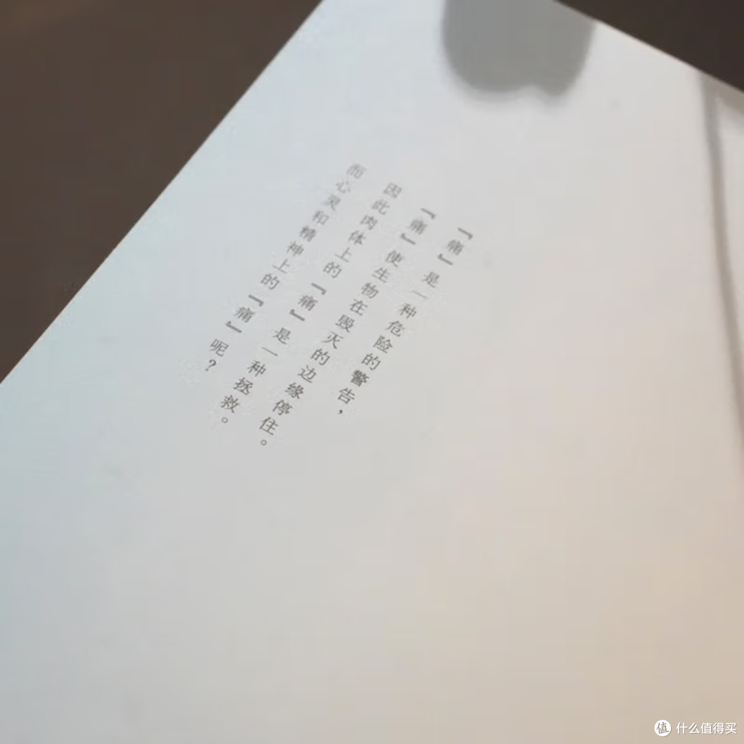 《无关岁月》:心灵的宁静之旅