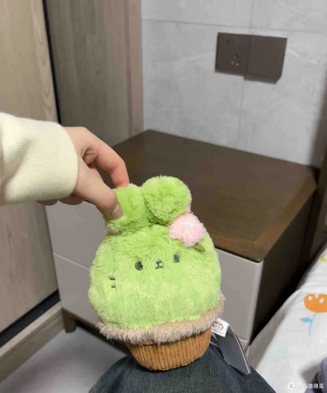 女子因“兔子多肉太萌太可爱”走红,网友:贵吗?好想养!