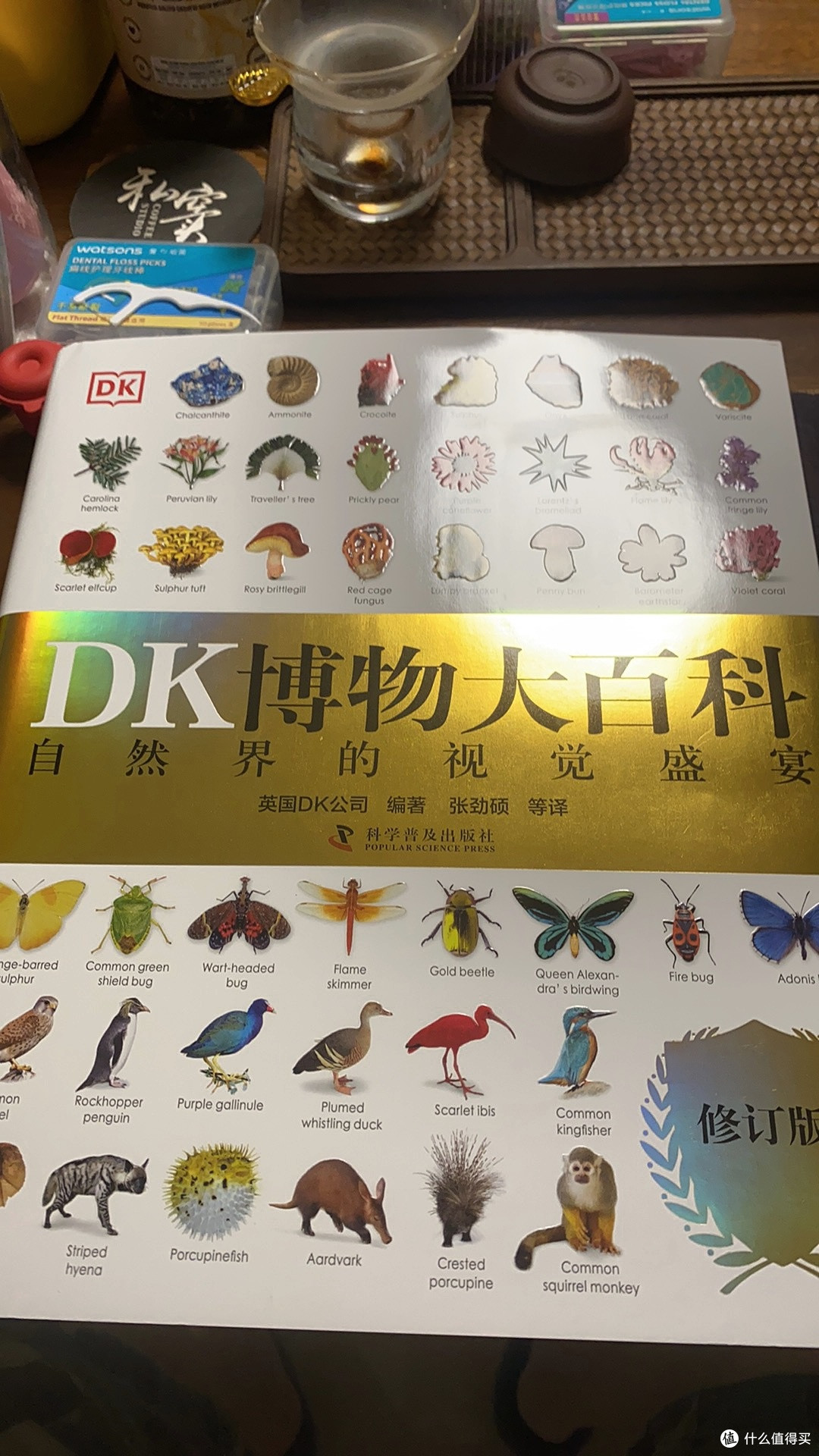DK博物大百科2025破价!新增100页+AR黑科技,学生们直呼课本活了