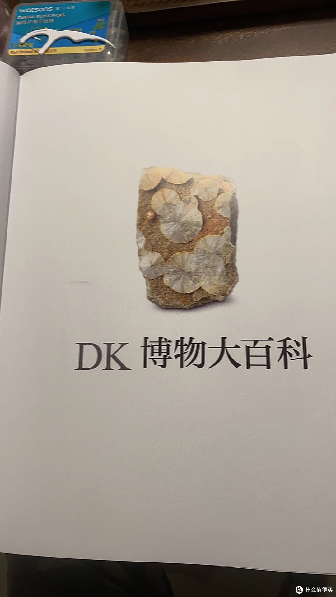 DK博物大百科2025破价!新增100页+AR黑科技,学生们直呼课本活了