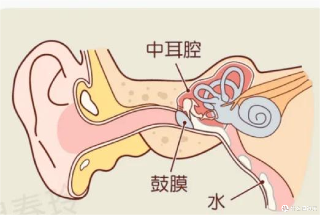 【自费6k+】全价位开放式耳机测评:开放式耳机好用吗?