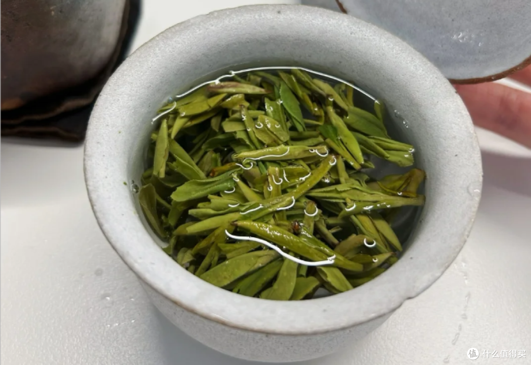口粮茶推荐!日常必备,性价比超高!