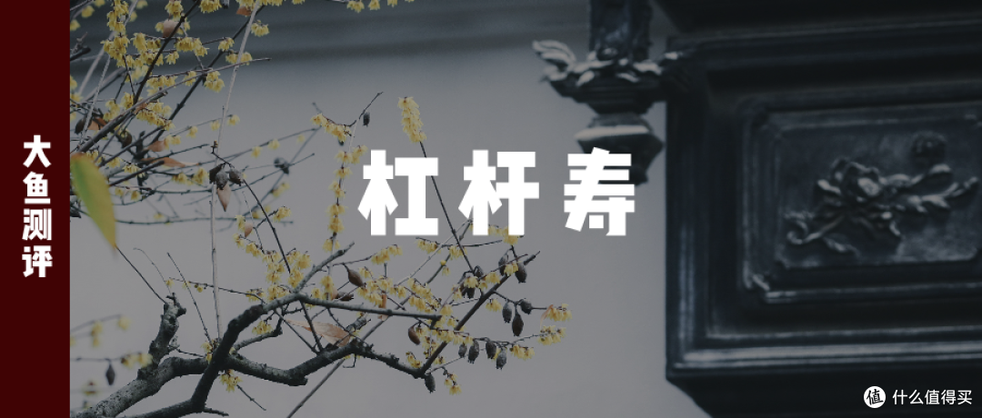 大鱼测评第1481篇原创