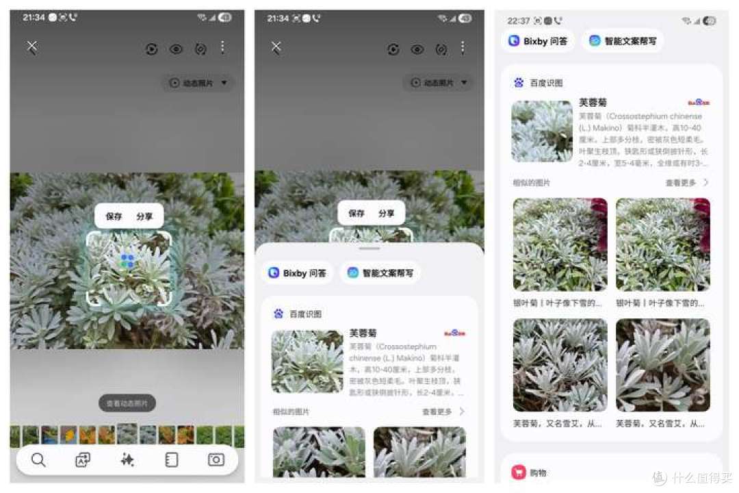 三星Galaxy S24 Ultra深度实测结果:影像、性能、AI都超强