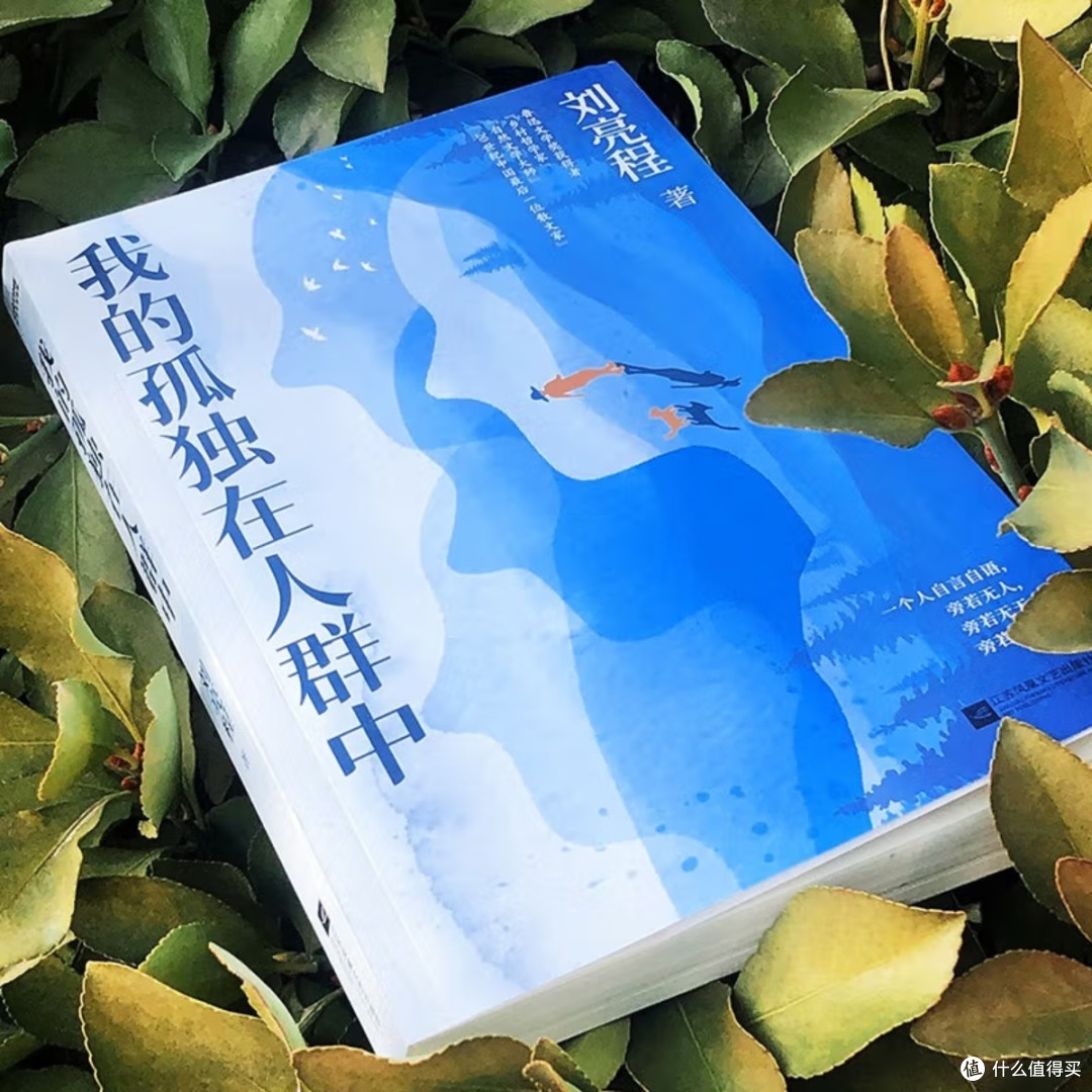 孤独与文学的双重治愈