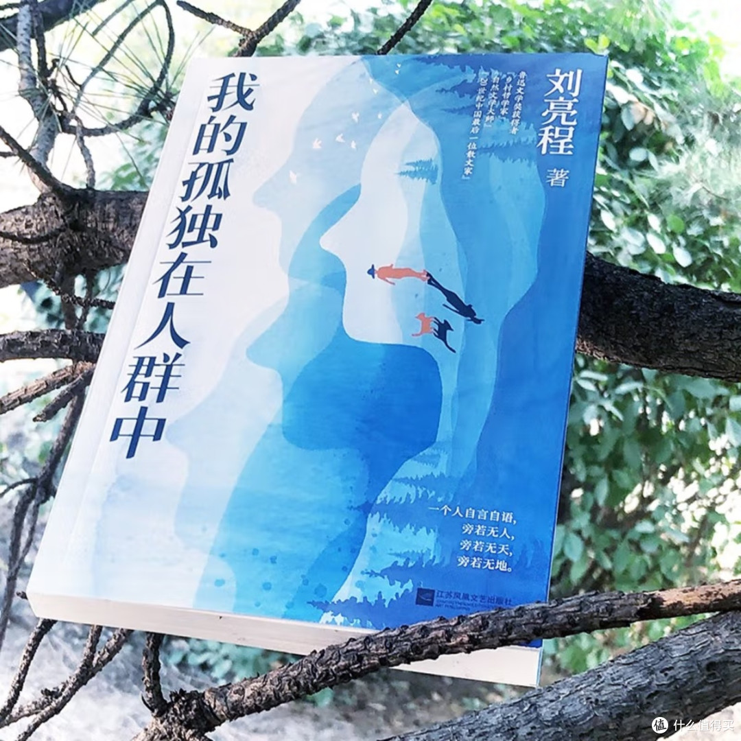 孤独与文学的双重治愈