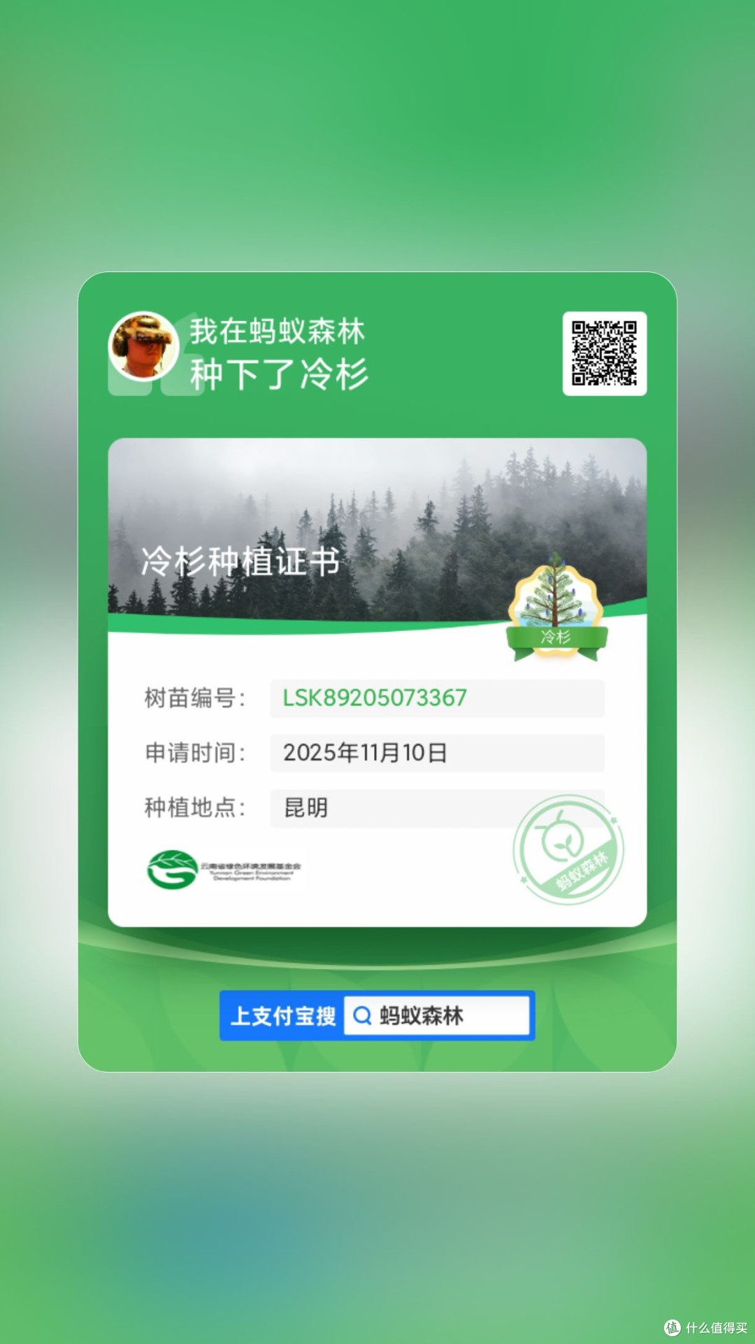 八年情怀：蚂蚁森林树种全拿下