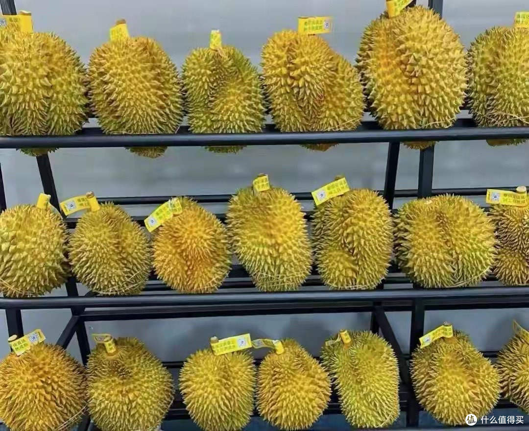 榴莲明明产量很高,却为什么卖那么贵?有6个原因带你了解清楚