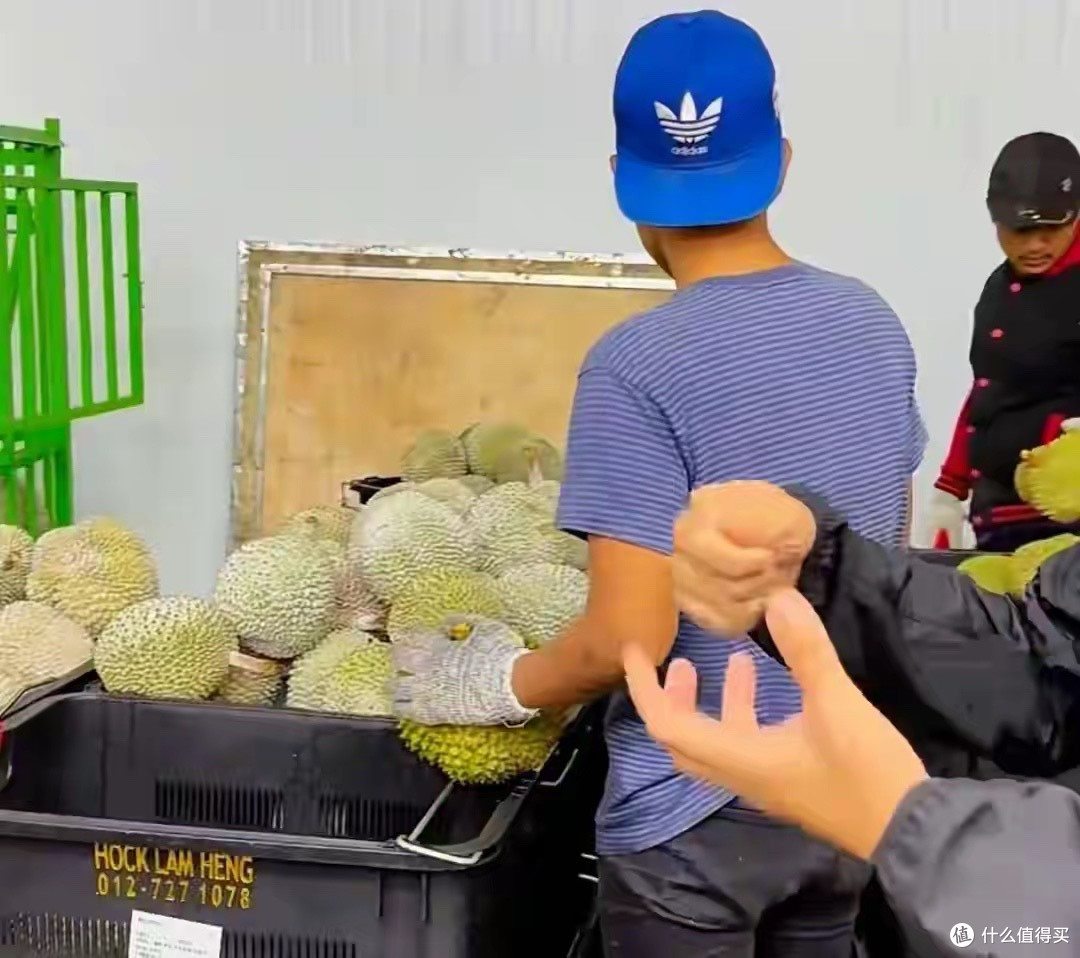 榴莲明明产量很高,却为什么卖那么贵?有6个原因带你了解清楚