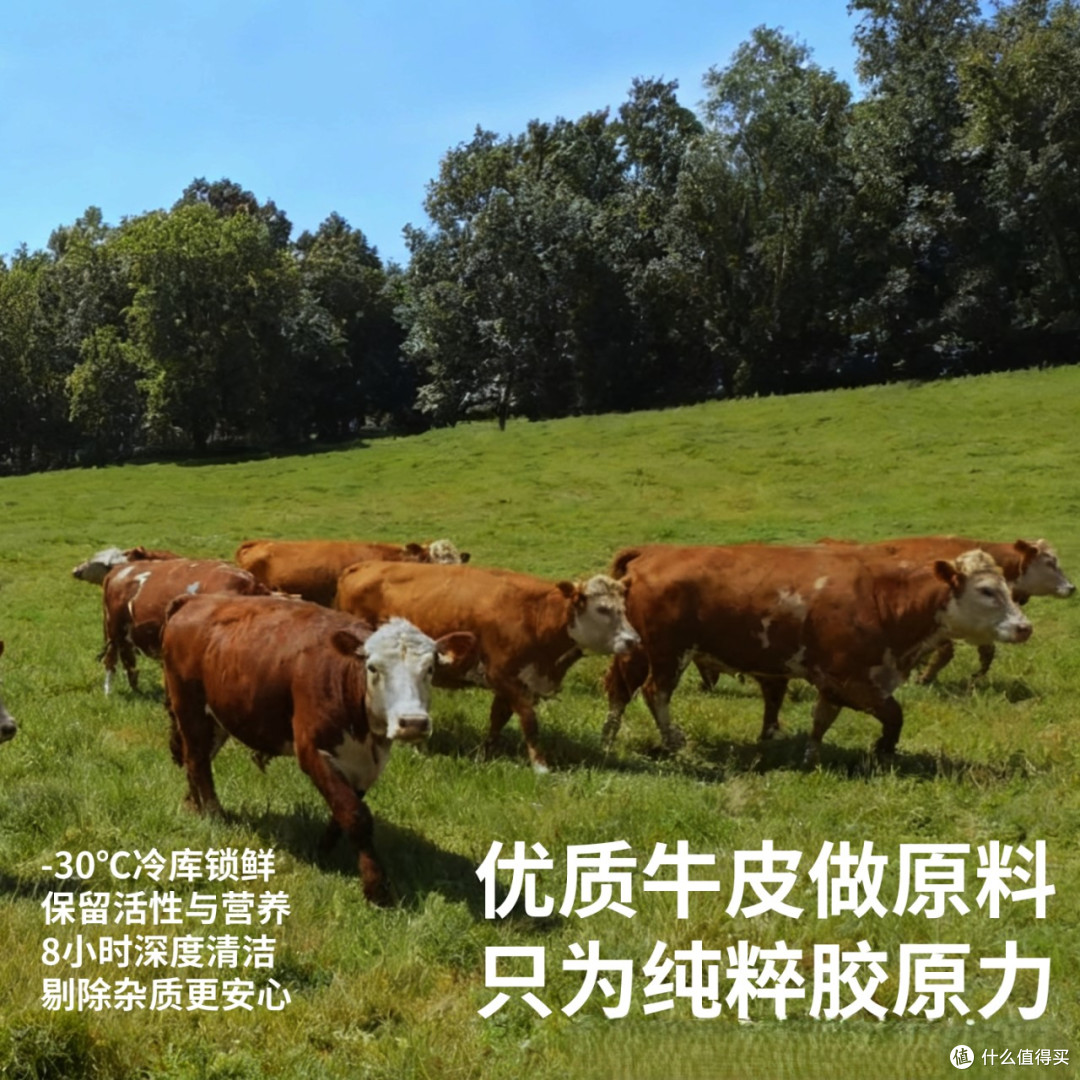 人到中年，你的身体正在悄悄「缺肽」？