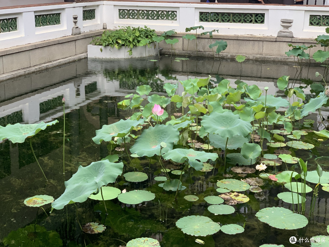 长洲岛骑行：一段穿越历史与自然的骑行之旅