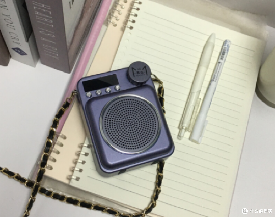 扩音器哪个好?小蜜蜂扩音器哪个牌子最好?小蜜蜂扩音器推荐