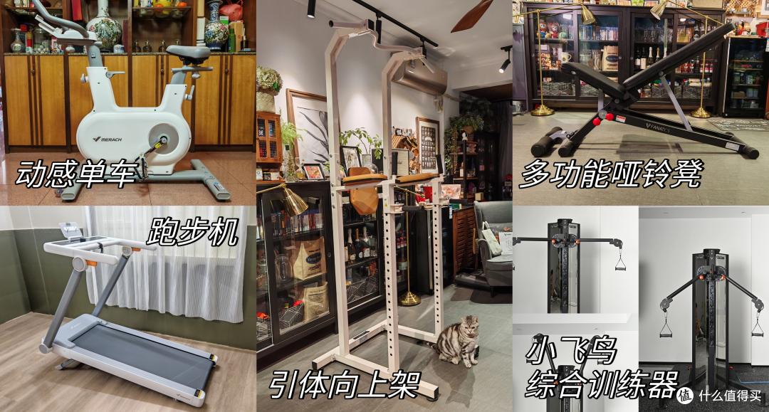 没时间去健身房?码住这几个健身器材,在家也能打造魔鬼身材