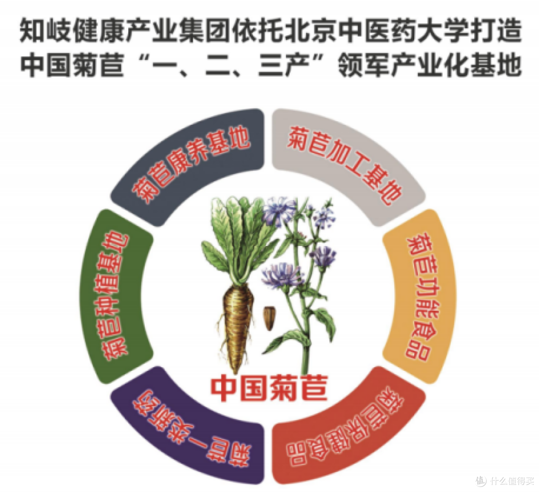 汇聚顶尖智慧，驱动产业创新：知岐健康的专家智库与科研引领力