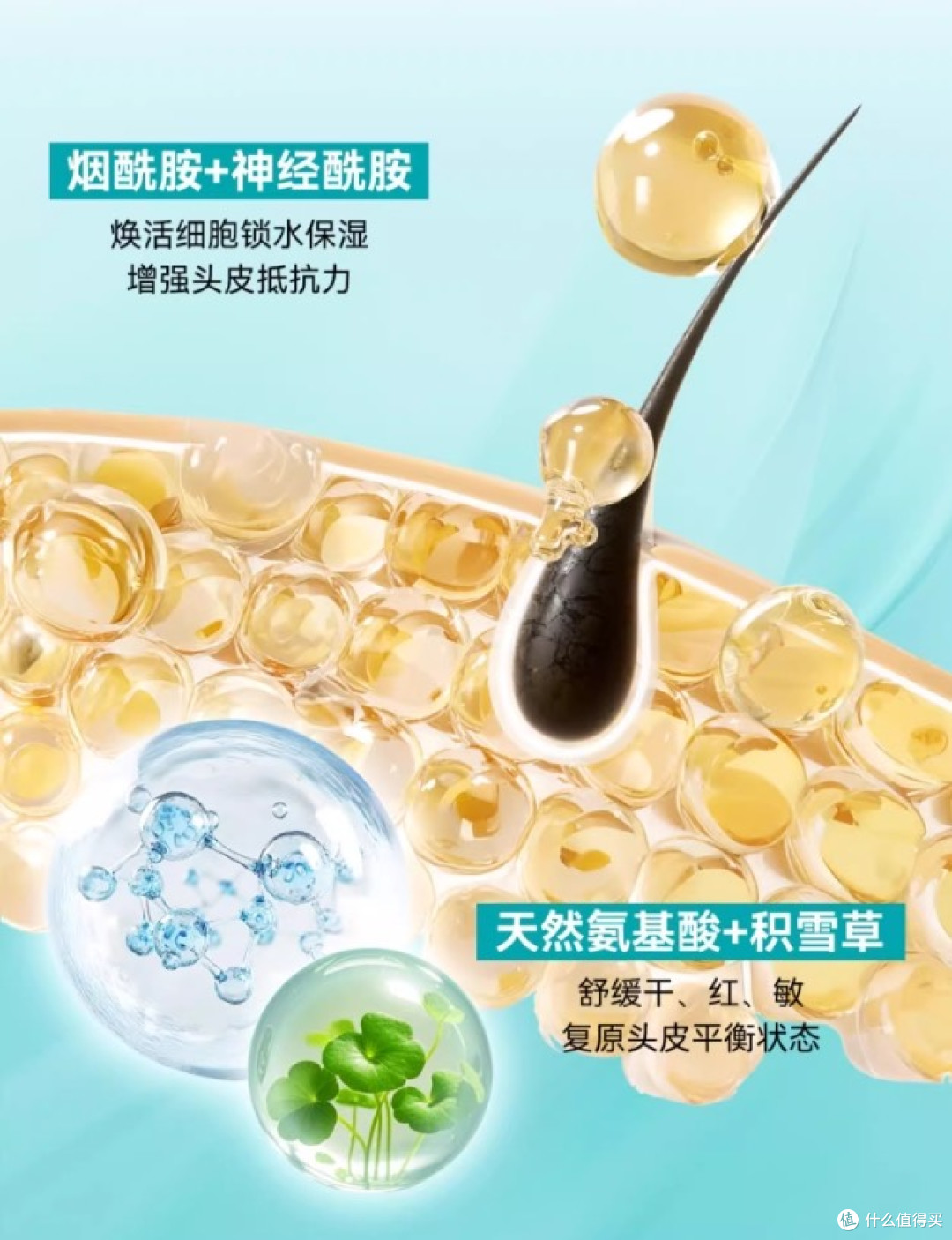 脱发怎么办?抢蔓迪固生双效套装,双十一买对产品=生发快人一步