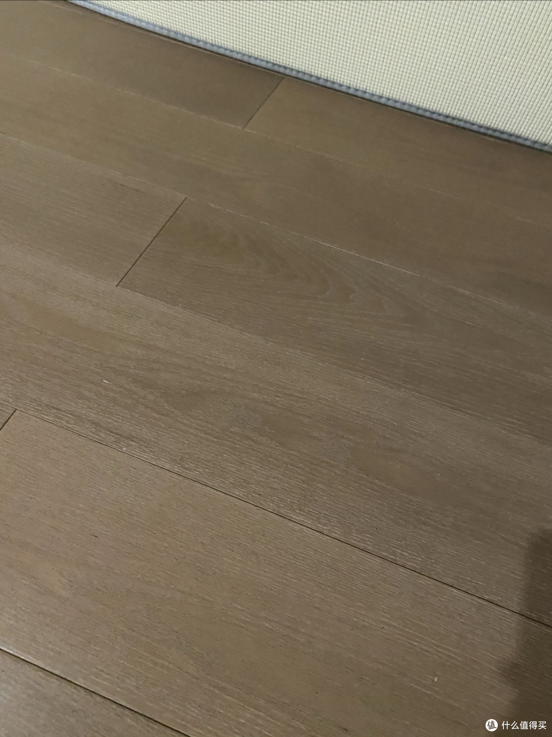 体育赛事中的难忘瞬间