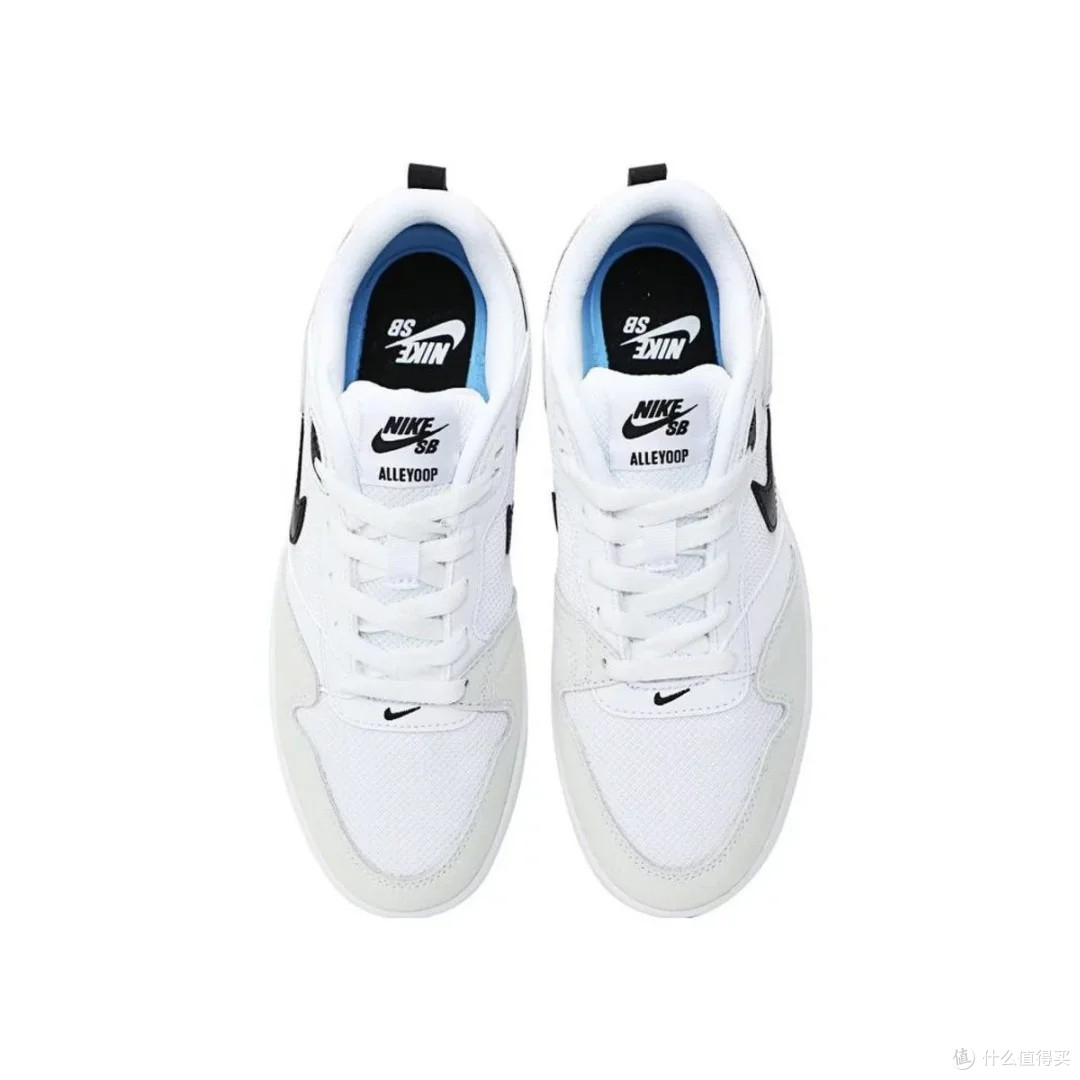 Nike SB ALLEYOOP:女性滑板鞋推荐