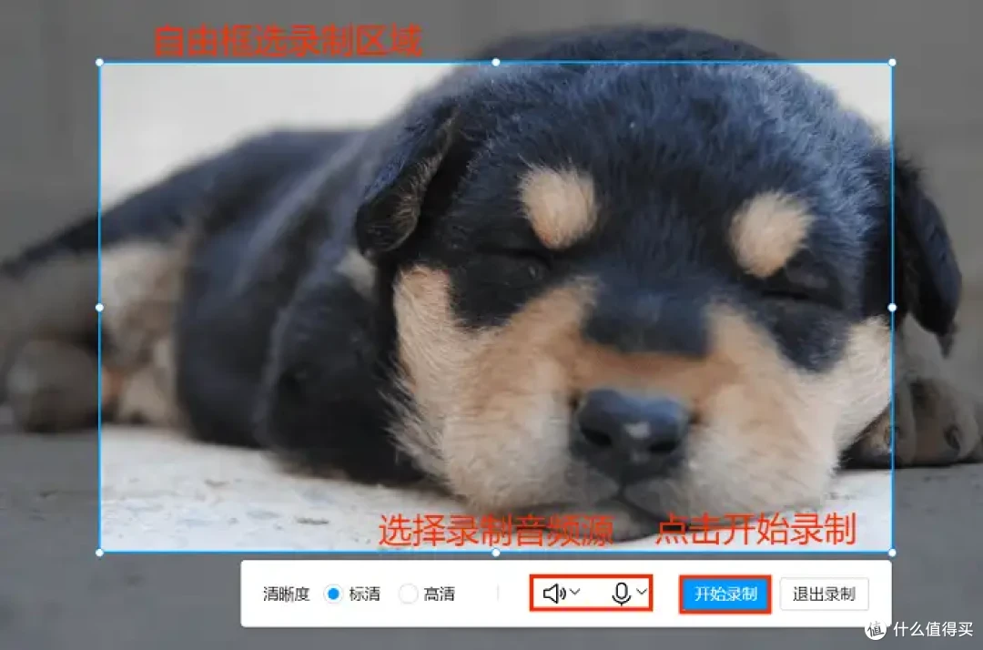 可以录屏的软件，4款软件安利，助你工作生活两不误
