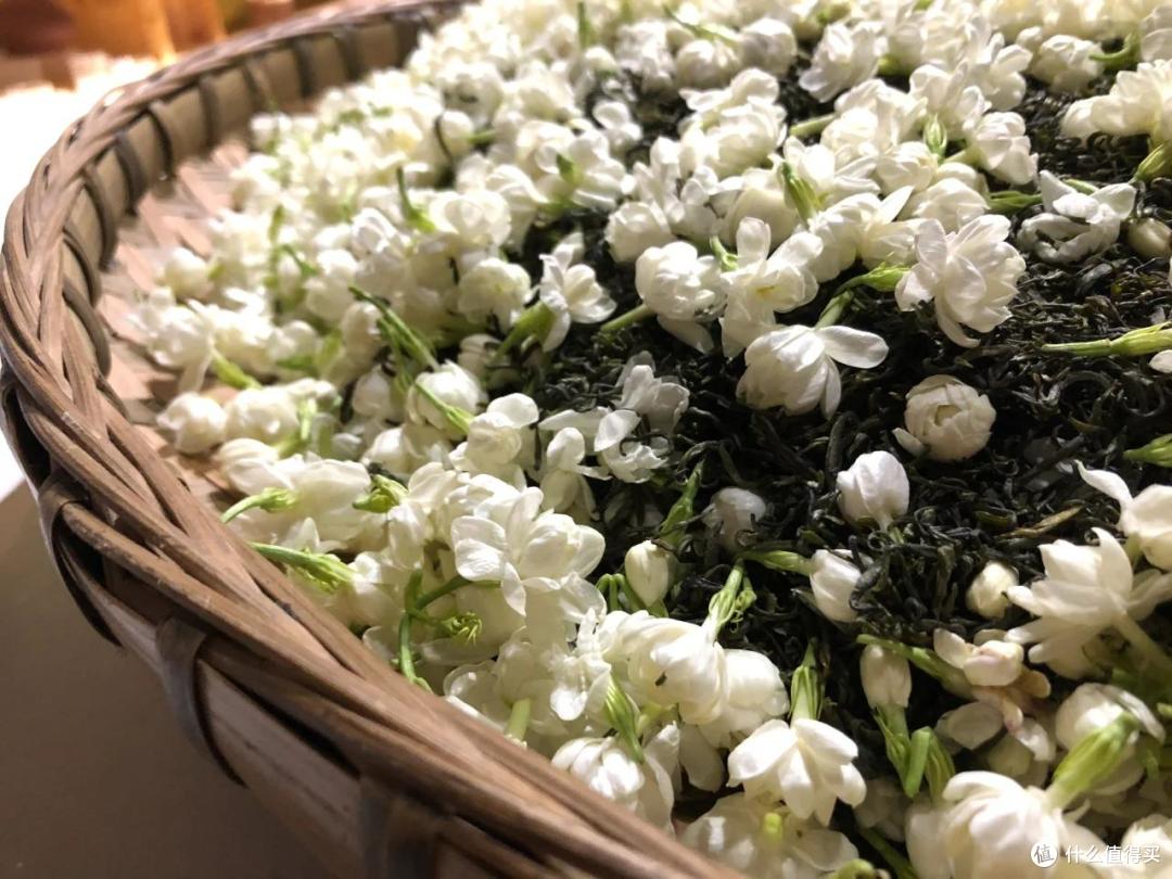 新手入门可以尝试的茉莉花茶品牌 !