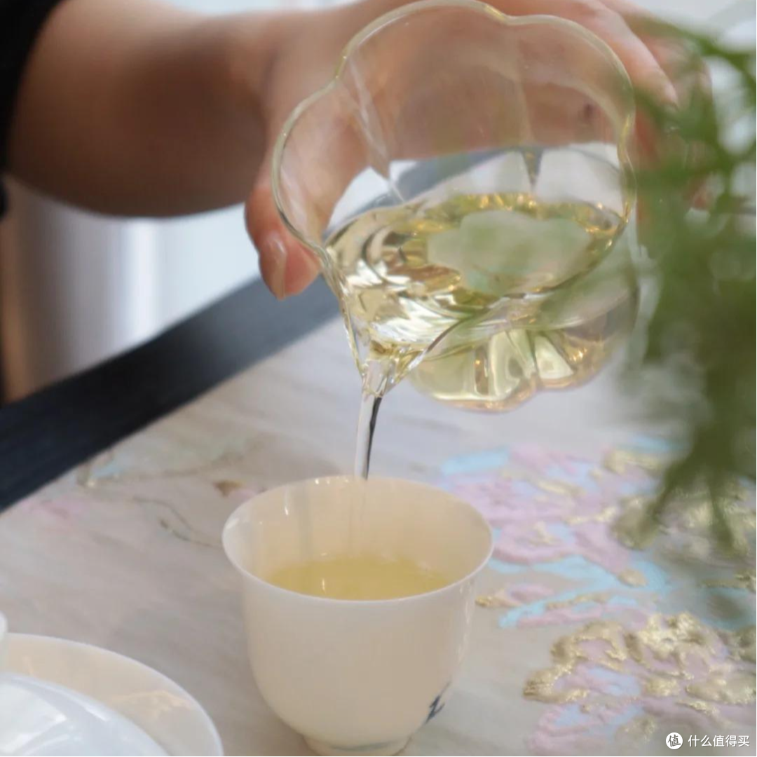 新手入门可以尝试的茉莉花茶品牌 ！