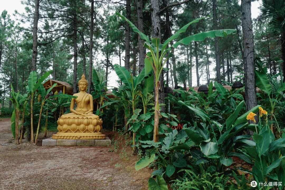 村咖卷成“地球村”?这小城直接把咖啡馆玩出花!