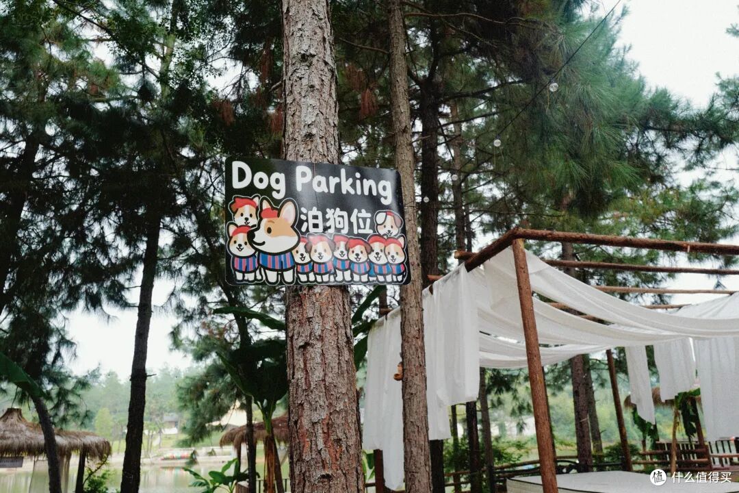 村咖卷成“地球村”?这小城直接把咖啡馆玩出花!