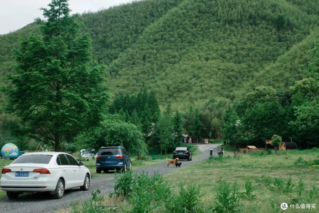 村咖卷成“地球村”?这小城直接把咖啡馆玩出花!