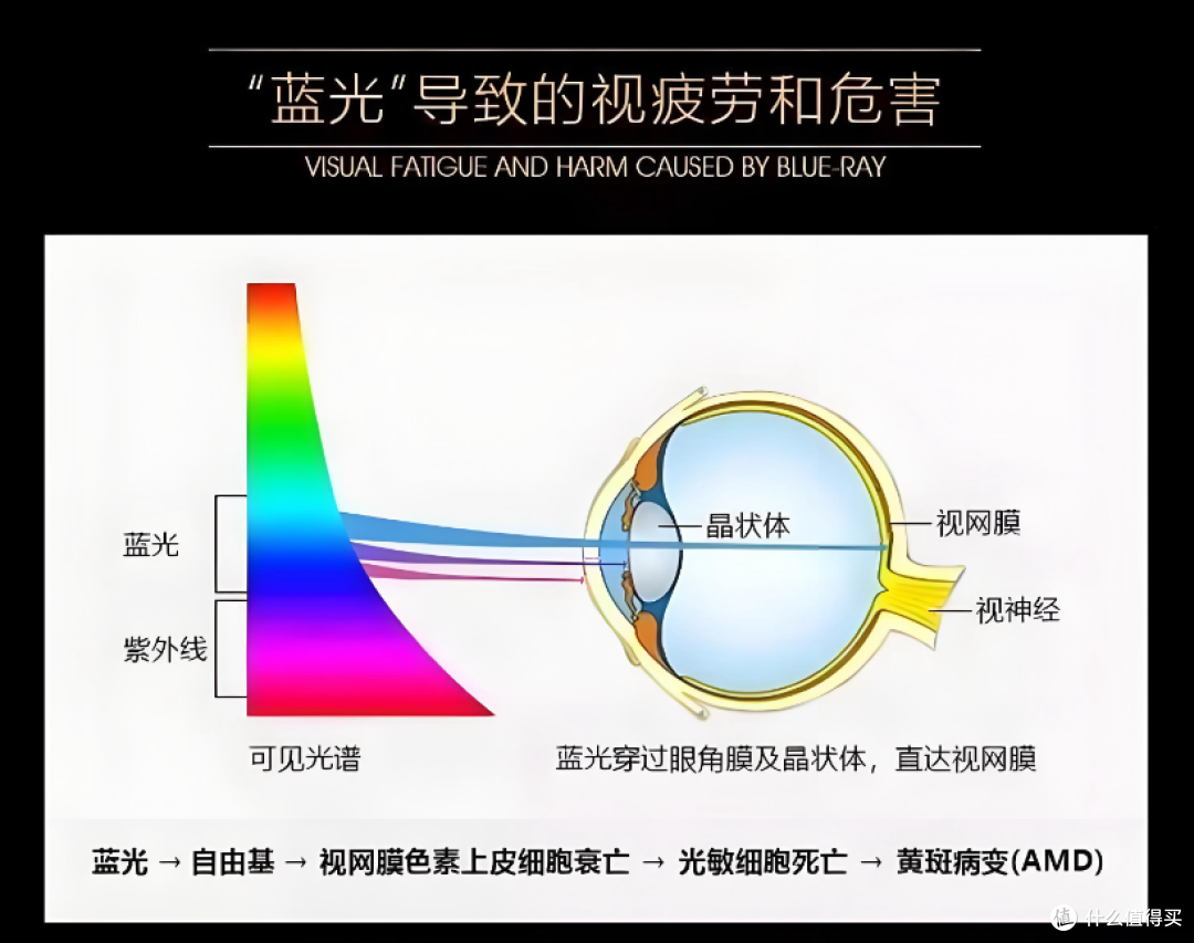 2025屏幕挂灯推荐:10款热门屏幕挂灯硬核拆解,屏幕挂灯怎么选?