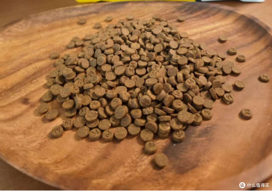 狗狗吃狗粮好还是吃饭好?新手养狗必须知道!为了狗狗的健康