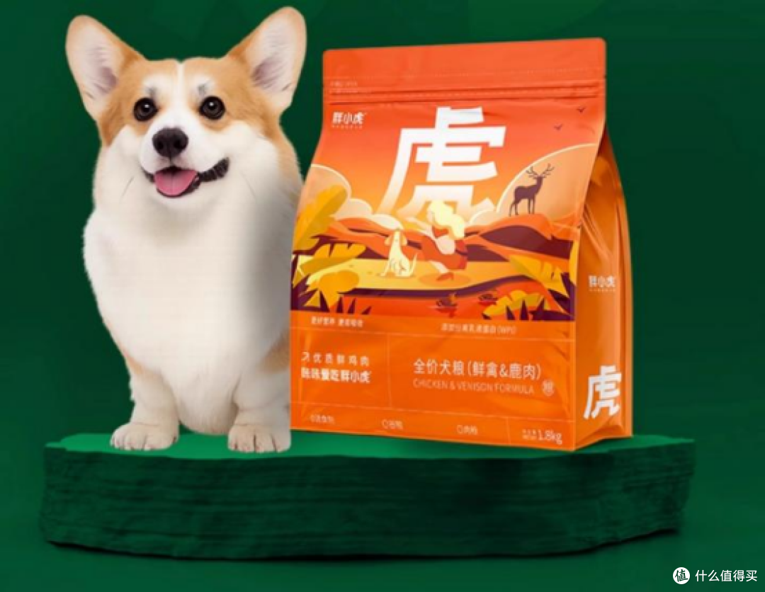 狗狗吃狗粮好还是吃饭好?新手养狗必须知道!为了狗狗的健康