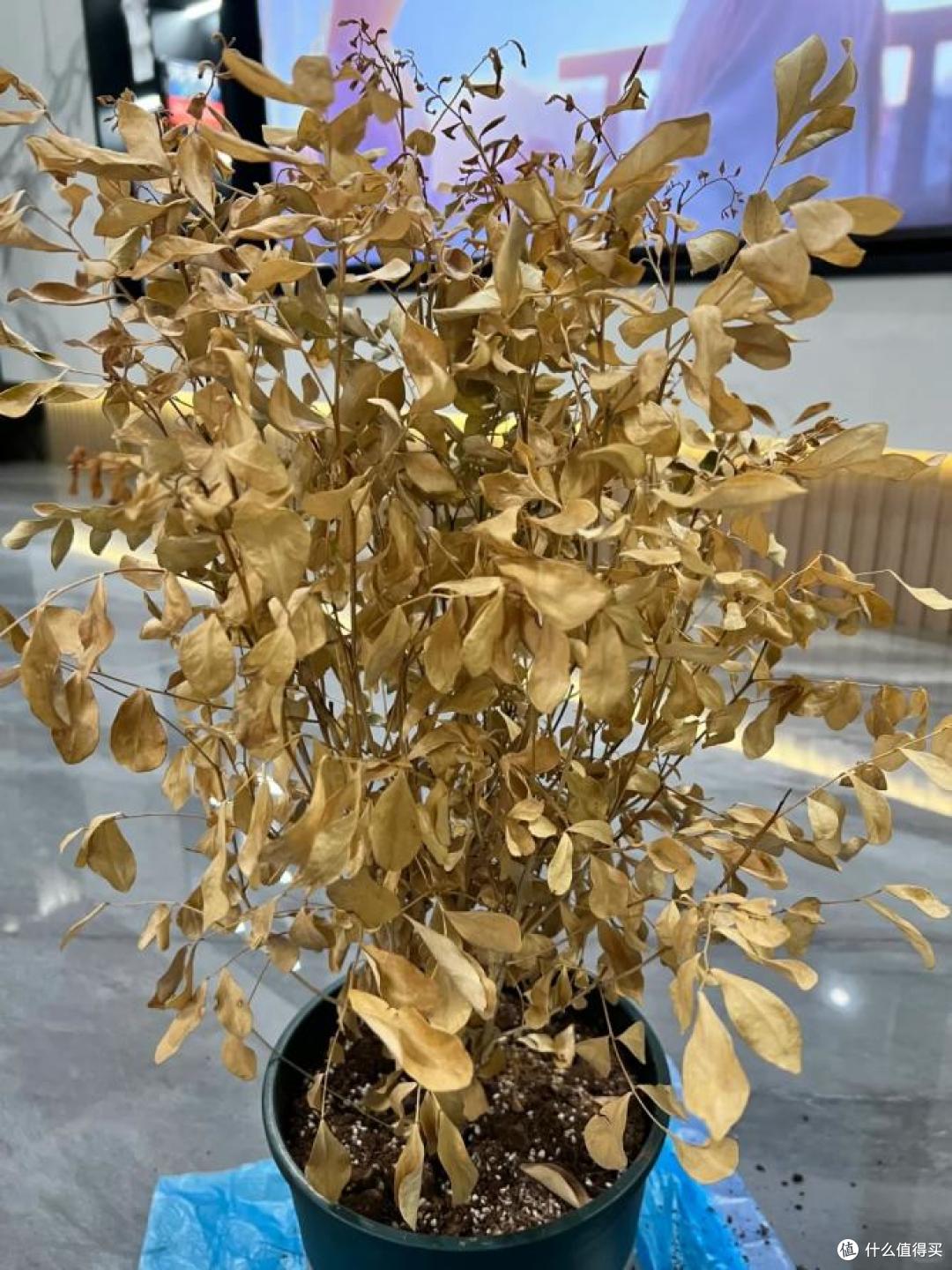 不管有钱没钱,家里这8样东西赶紧扔!不是误导,而是为了家人好