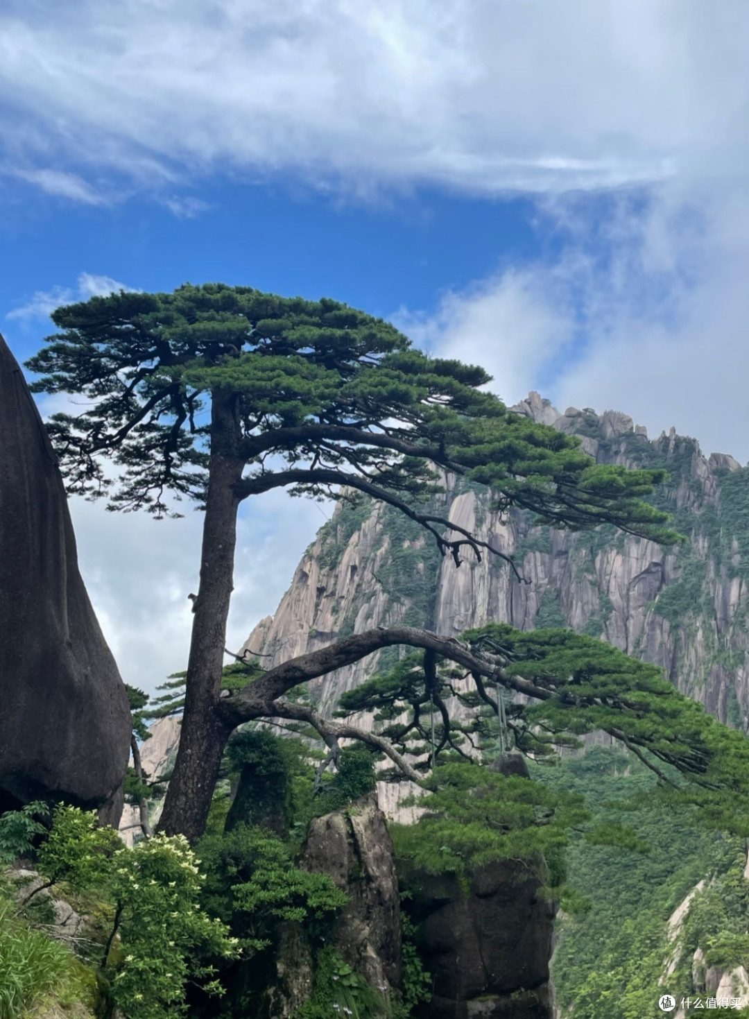 登黄山：自然与人文之美