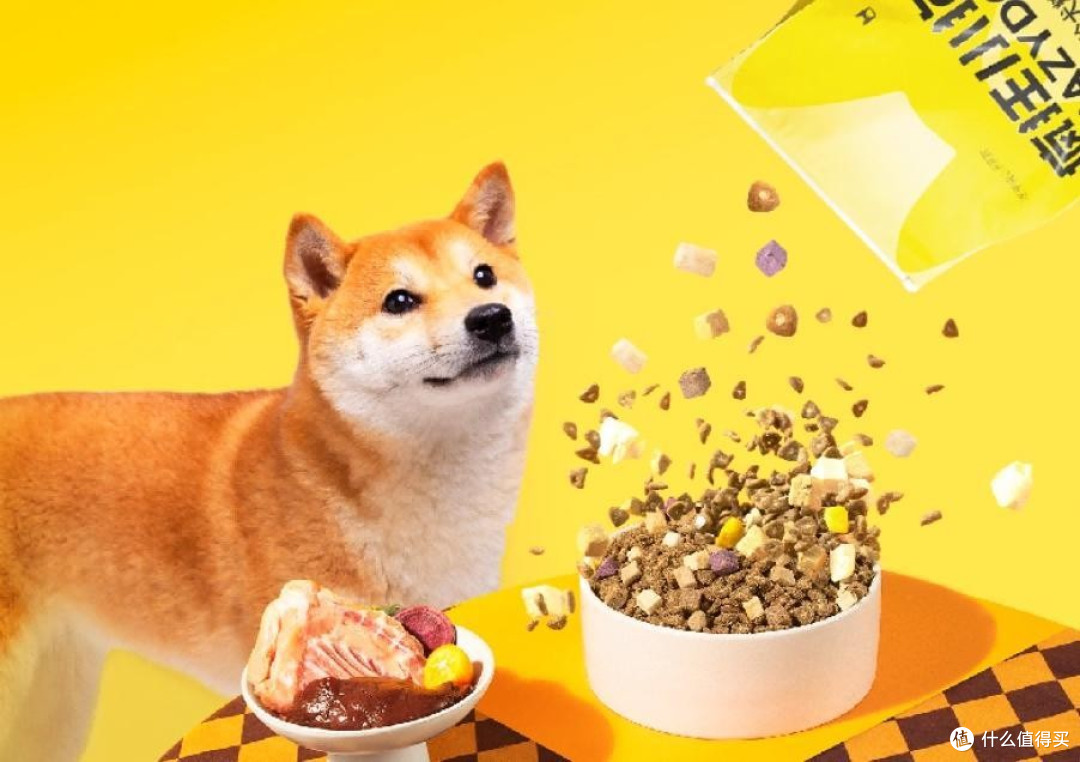 博美犬吃什么狗粮最好最健康?性价比最好的狗粮排行榜前十名分享