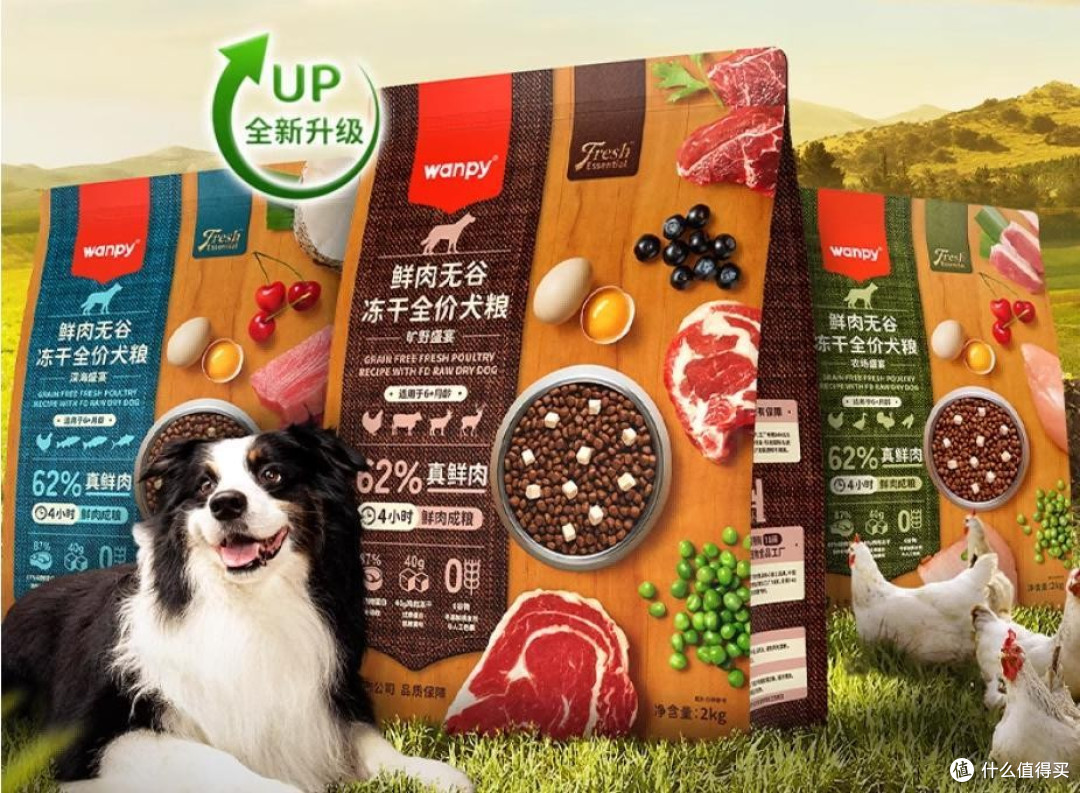 博美犬吃什么狗粮最好最健康?性价比最好的狗粮排行榜前十名分享