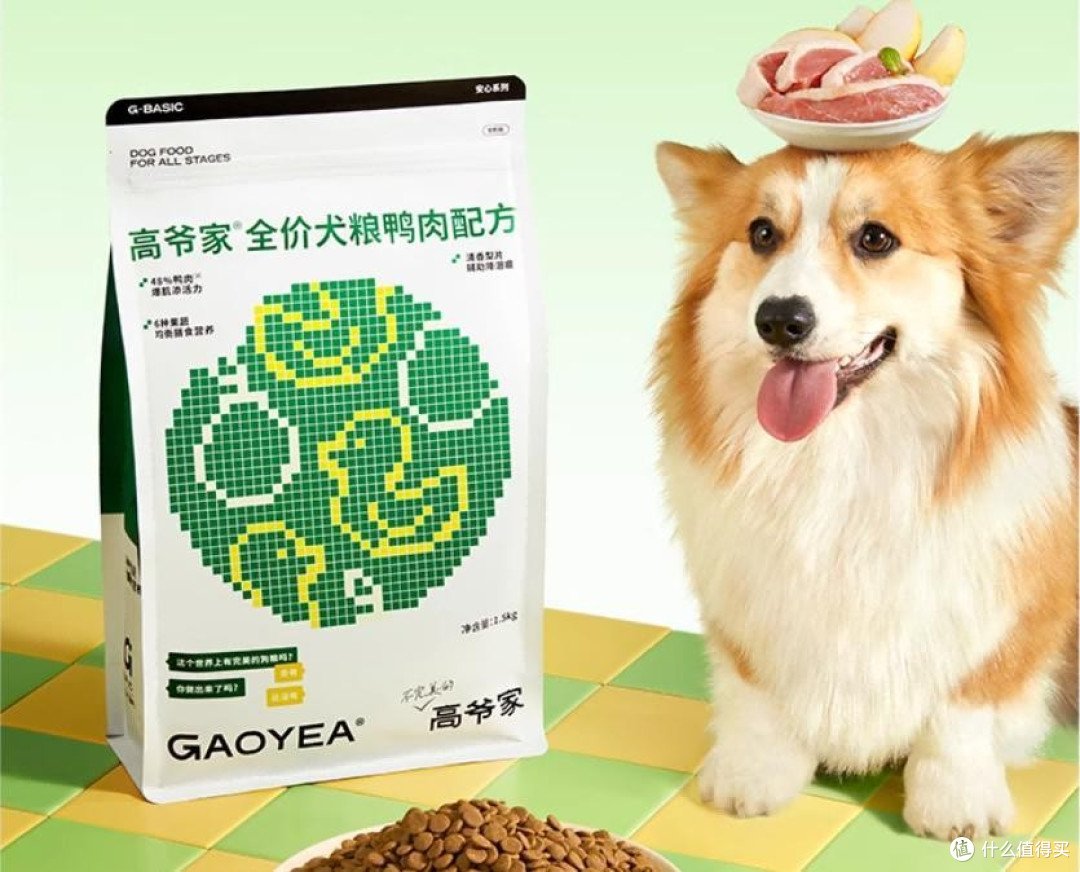 博美犬吃什么狗粮最好最健康?性价比最好的狗粮排行榜前十名分享