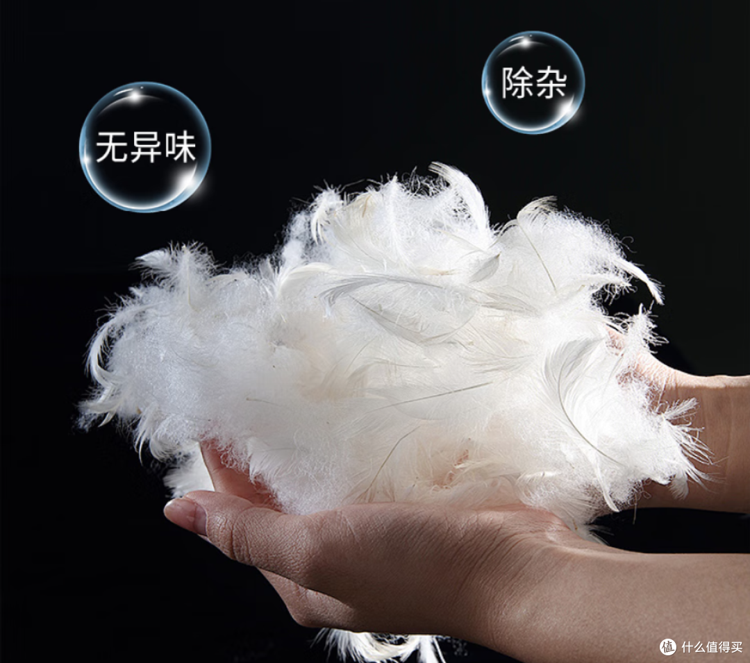 白鹅绒 vs 白鸭绒,哪种羽绒被更值得买?