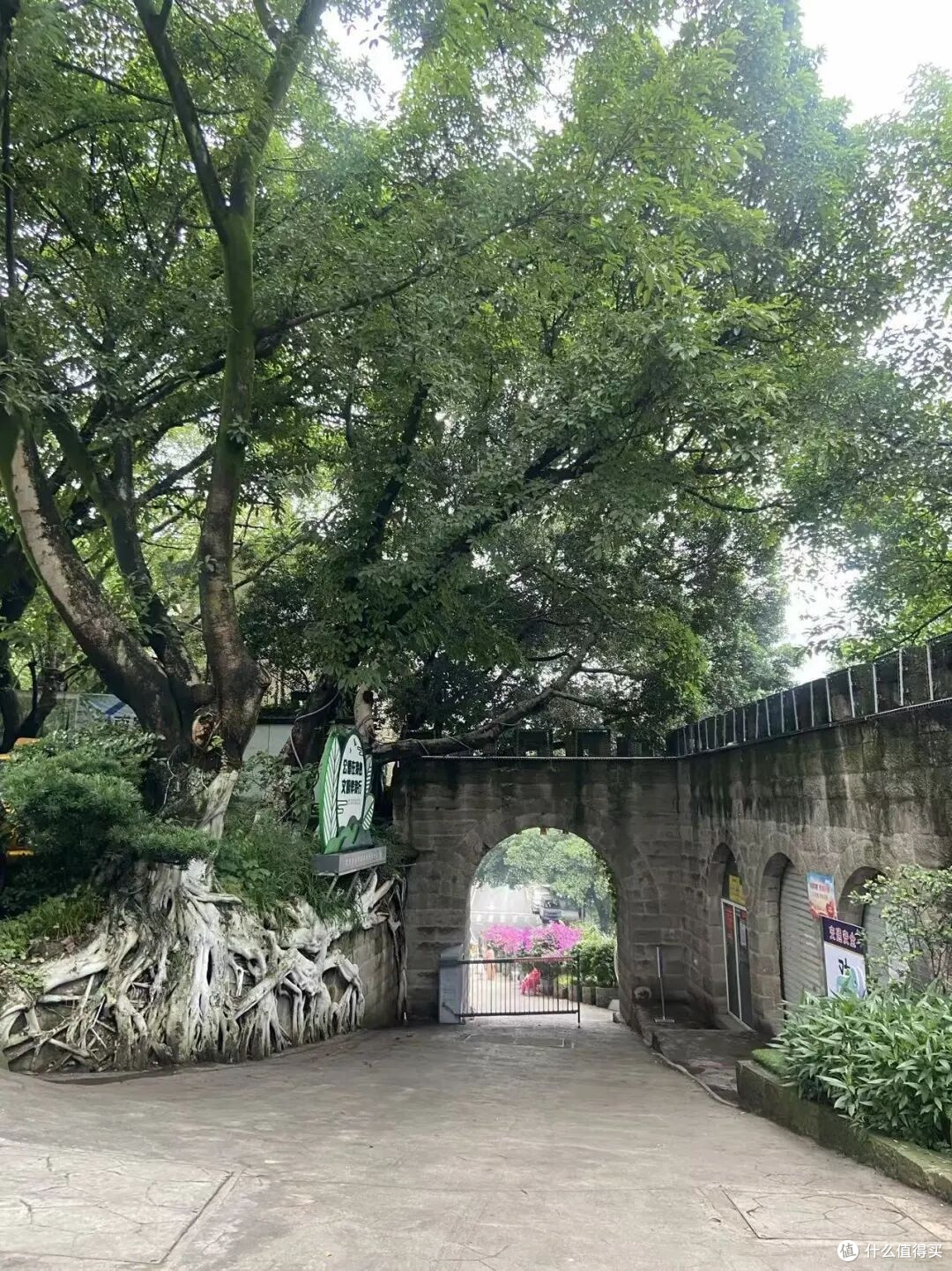 鹅岭栈道,新地标打卡地