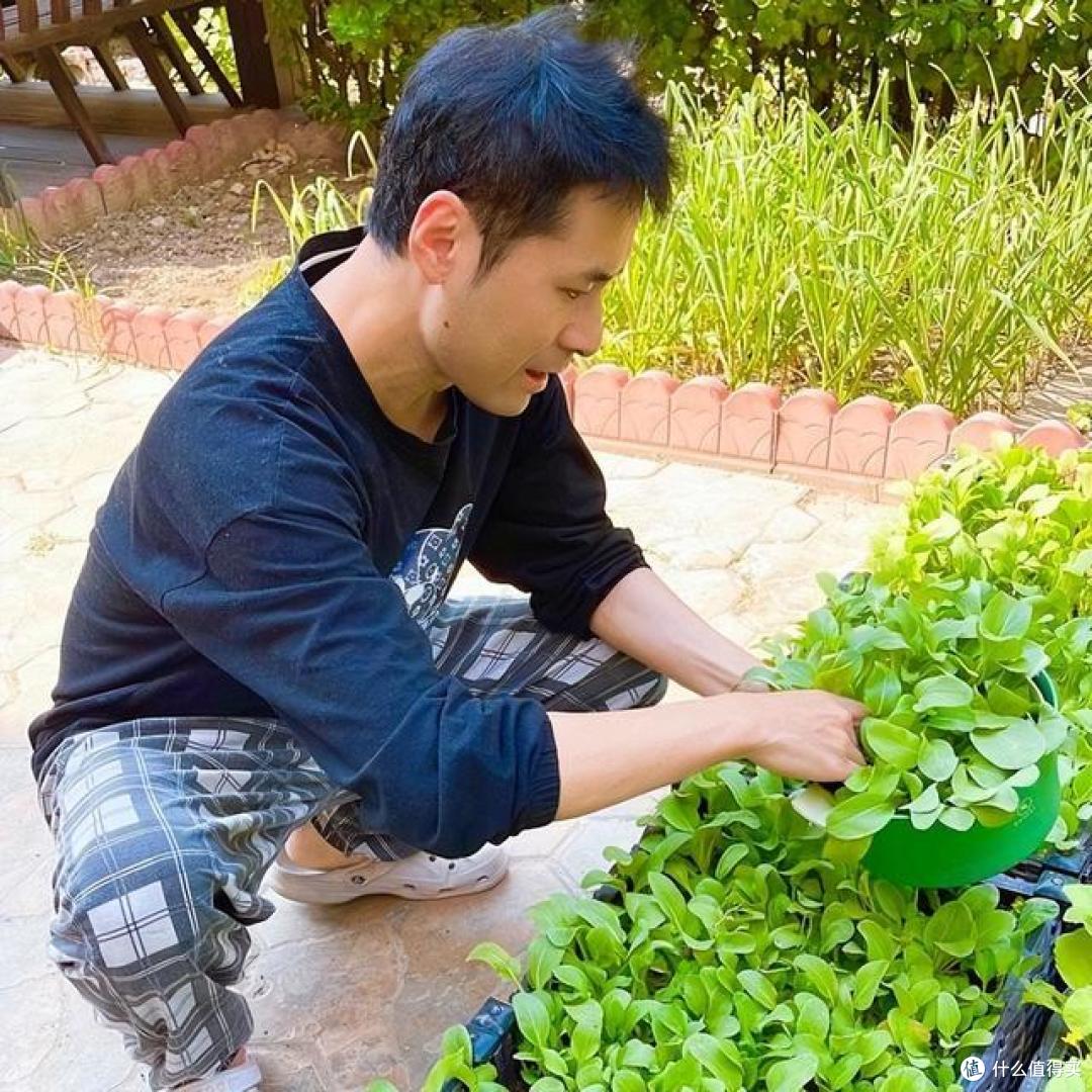看完黄征在北京的小院,我不想卷了!种菜养花,这才是向往的生活