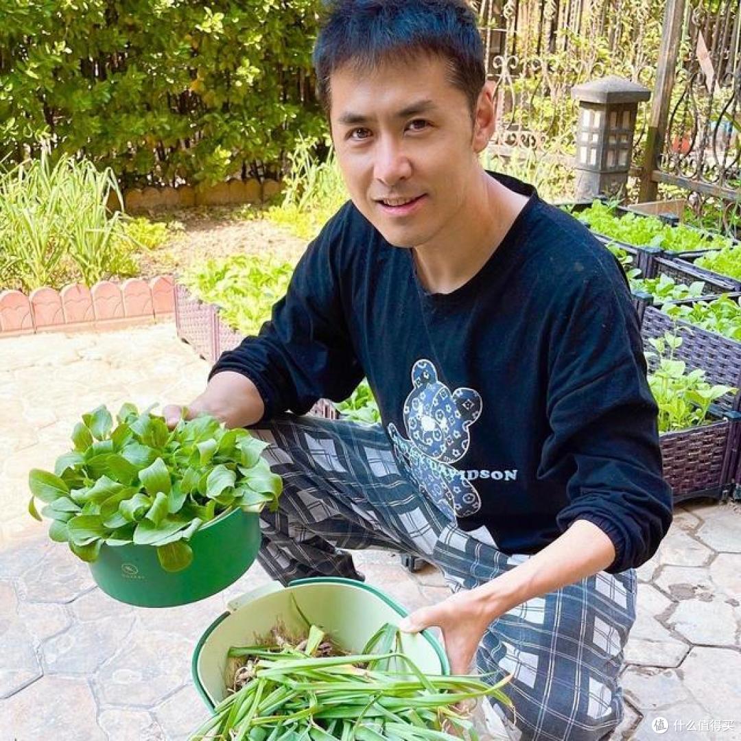 看完黄征在北京的小院,我不想卷了!种菜养花,这才是向往的生活