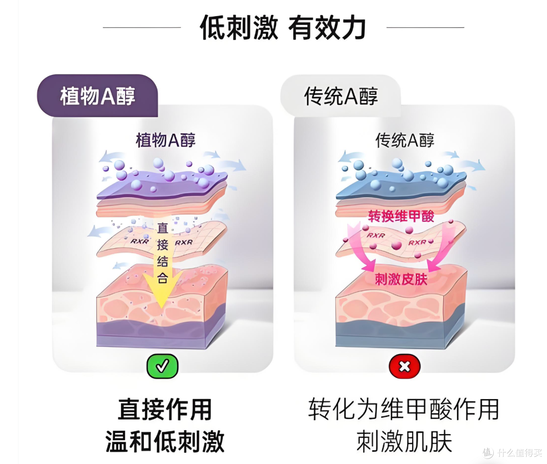 传统A醇vs植物A醇：秋冬季节谁更胜一筹？