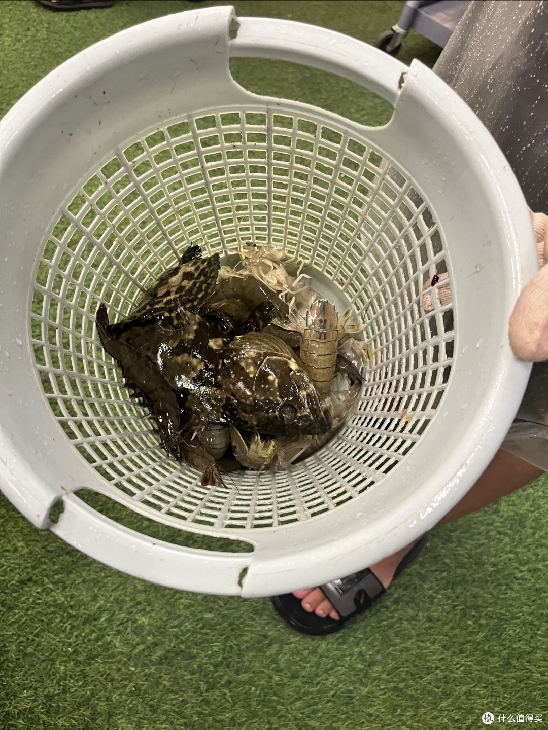 海南美食之旅第二篇海鲜大排档