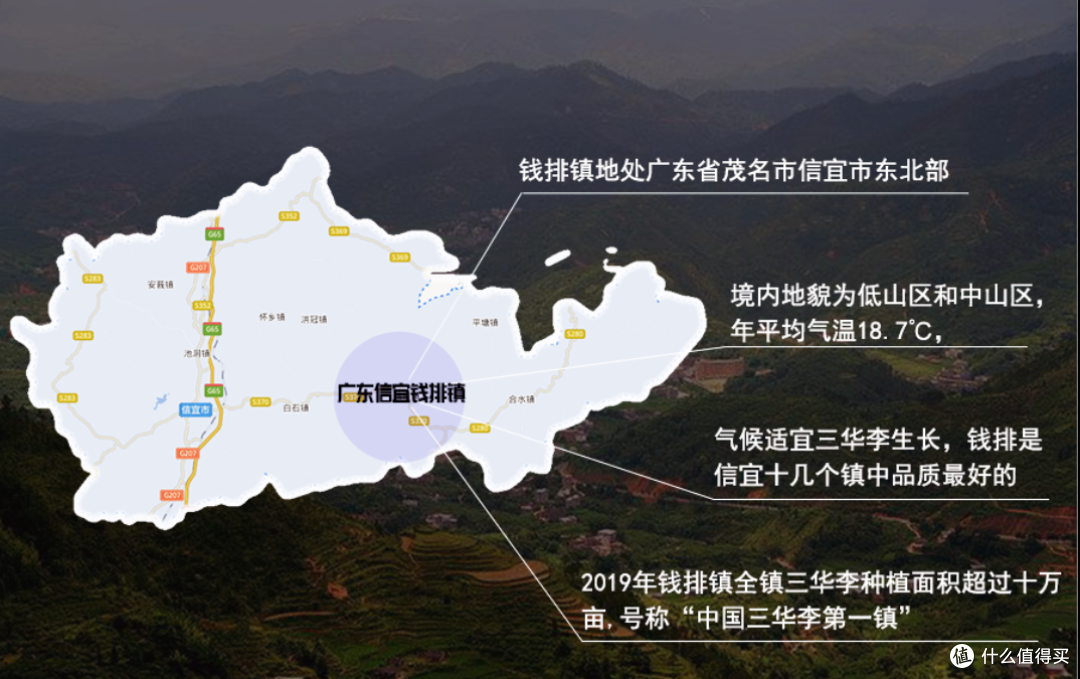 中国李乡——信宜钱排银妃三华李酸甜爽脆