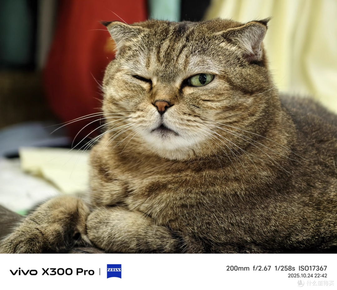 旗舰碾压中端!vivo X300 Pro体验差距真不是吹的