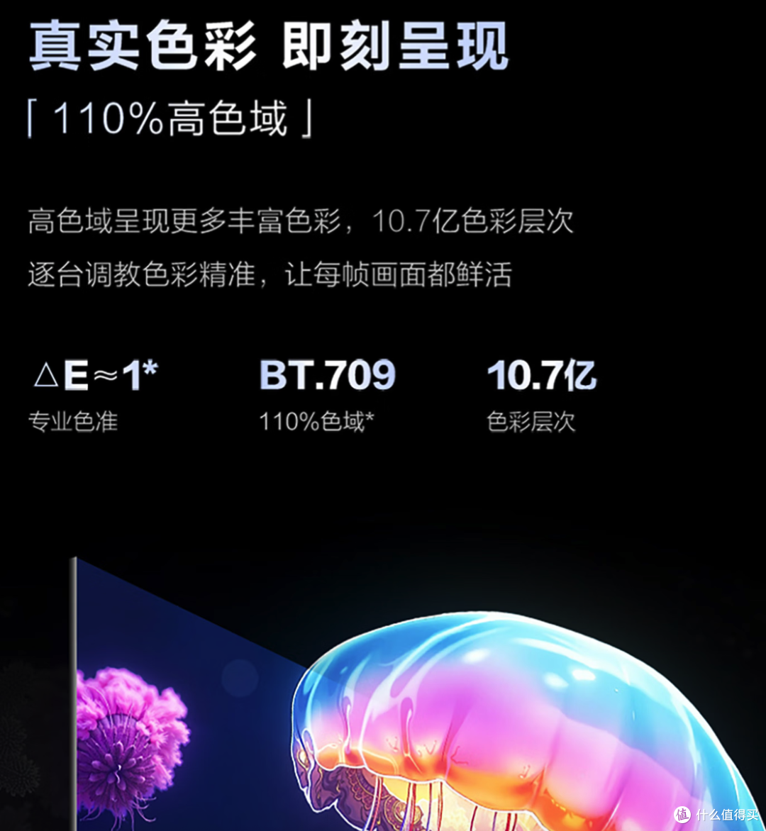为什么这个双十一,电视妞只推荐海尔小红花